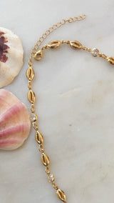 Cali Shell Choker Necklace