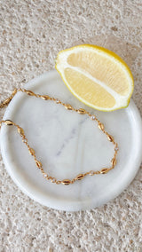 Cali Shell Choker Necklace